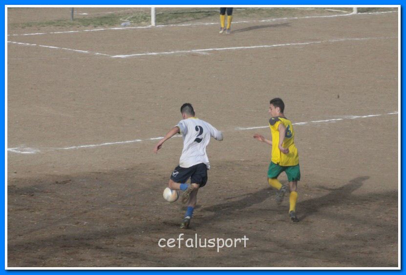 130406 delfini 168_tn.jpg